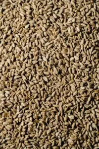 Close-up of peeled sunflower seeds showcasing their intricate texture.